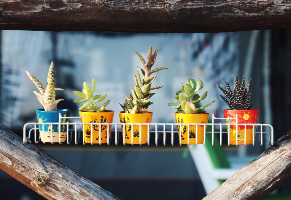 Idei creative pentru amenajarea unui balcon cu vegetale